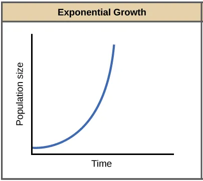 Exponential growth diagram